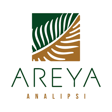 Areya Analipsi